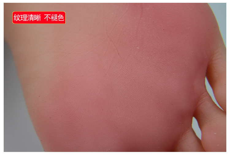 仿真足模脚模袜模道具女脚硅胶倒模无味丝袜脚模型 基本版 官方标配