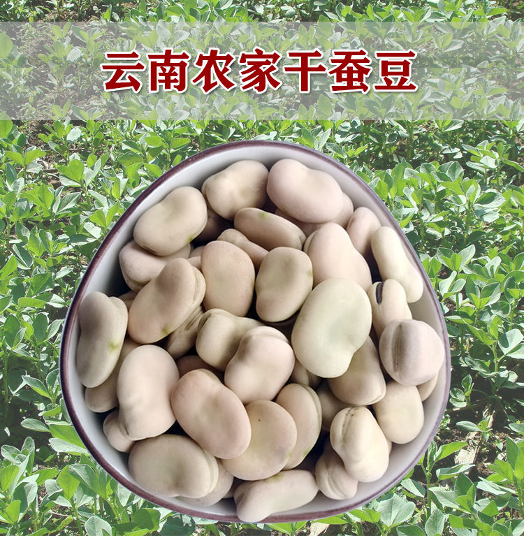 新鲜新大豆干豆零食小干蚕豆子米5/1斤 5斤袋装装干蚕豆【图片 价格