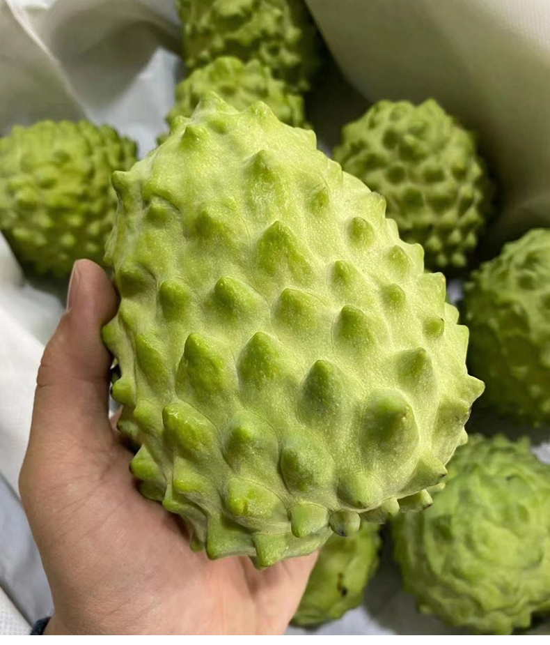 泰国牛奶释迦果新鲜水果番荔枝摩尼果佛头果宓蝶3斤大果
