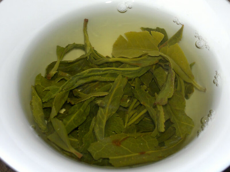 野栋茶品广东大叶青黄茶 特级农家黄茶毛尖广东特产茶 肇庆封开茶2021