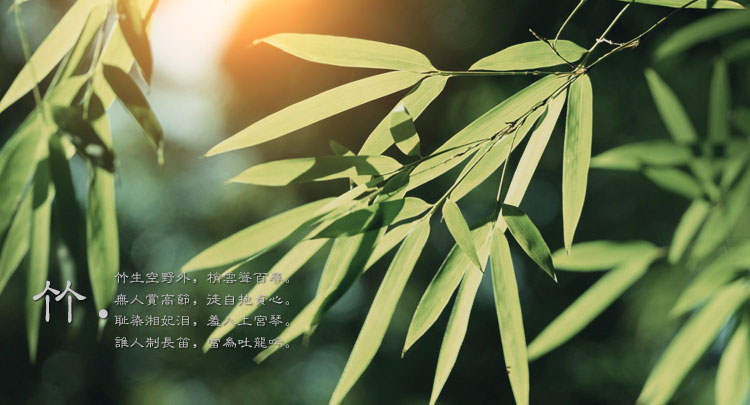 菲达森 简约小书架 桌面收纳实木大学生书档书夹办公室文件架书立架简易桌上置物架可伸缩文件筐 伸缩无抽桌面书架