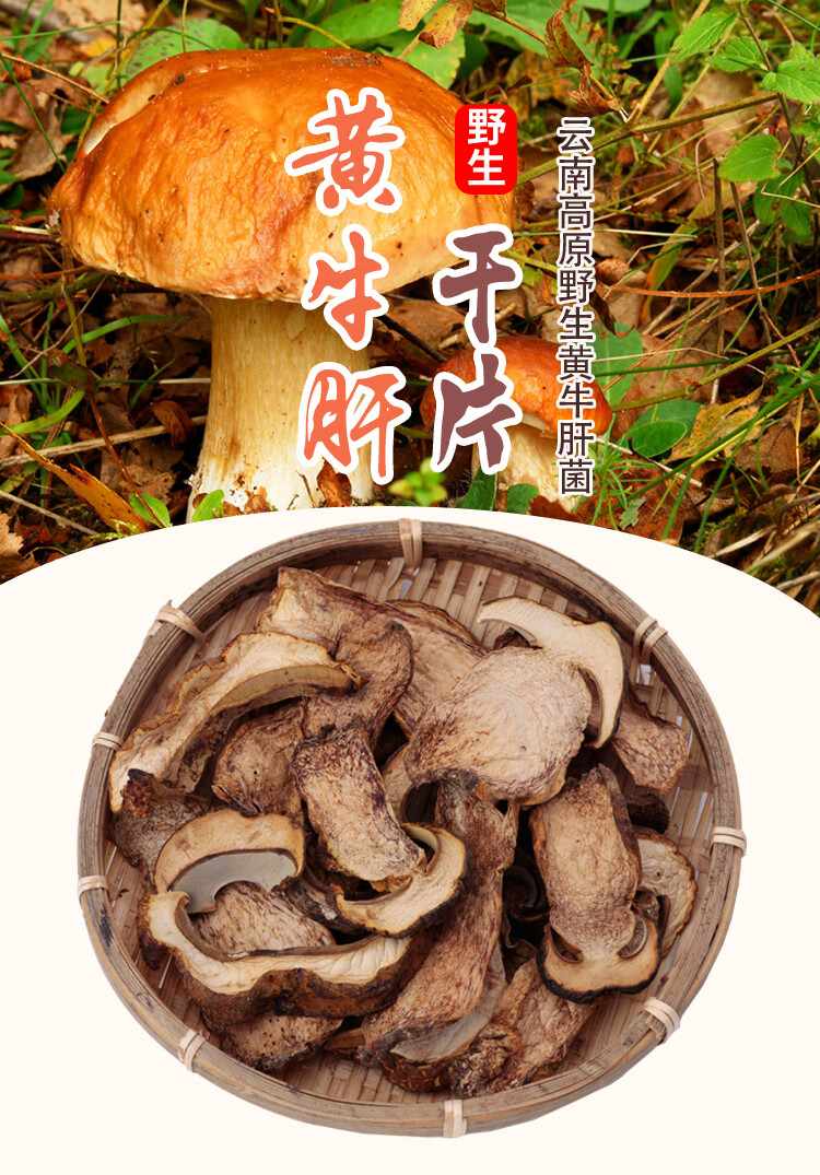 2021黄牛肝菌干货云南野生黄赖头农家特产食用蘑菇煲汤菌菇250g