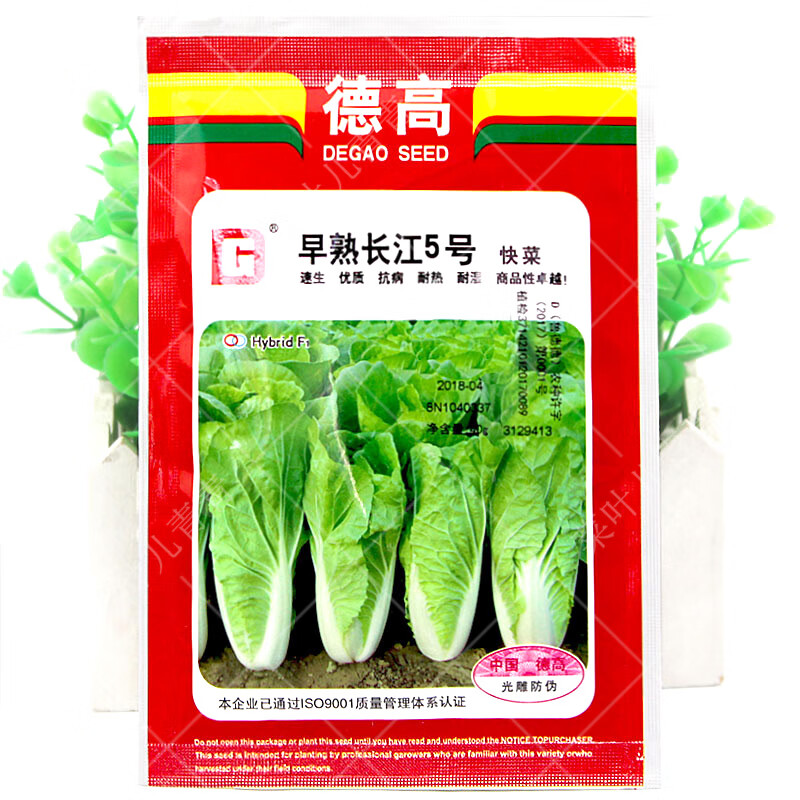 德高快菜种子种籽速生快菜小白菜大田用种高产抗病四季阳台盆栽早熟