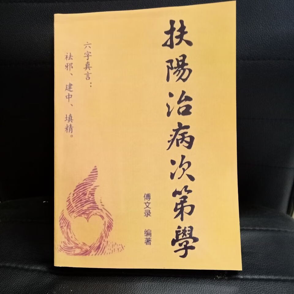 扶阳医学传真录扶阳治病次第学阴阳数字辩证法图片字体清晰三册扶阳