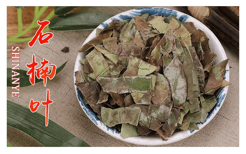 北京同仁堂石楠叶中药材500g克石楠树叶干货石眼树叶老少年叶石南叶