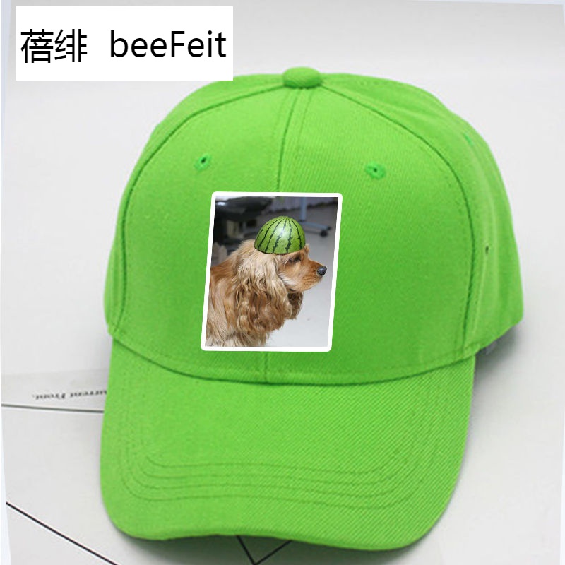 乖戴正
