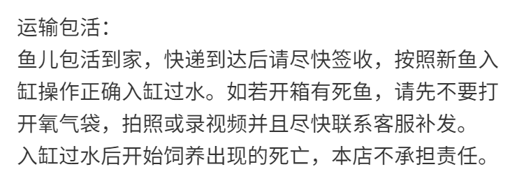 兰狮头蓝狮头蓝色兰色淡水观赏鱼风水鱼国粹活体渔场直销蓝狮56cm5条