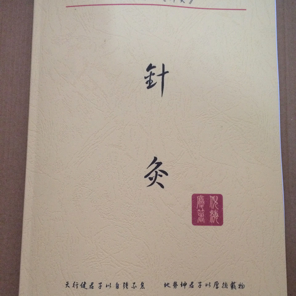 倪海厦老师针灸倪海厦人纪系列针灸篇倪海厦老师针灸倪海厦人纪系列