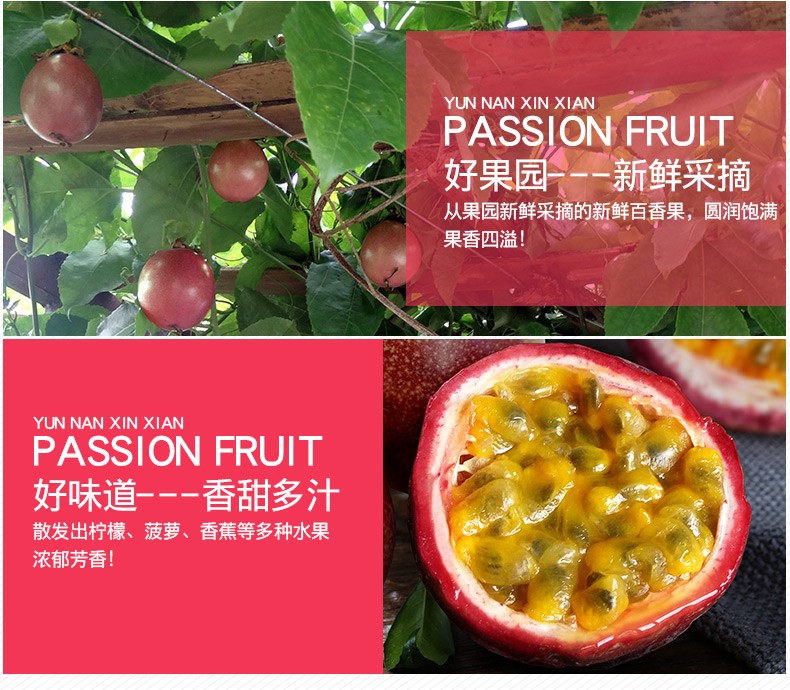 passion fruit好味道-一-香甜多汁散发出柠檬,菠萝,香蕉等多种水果