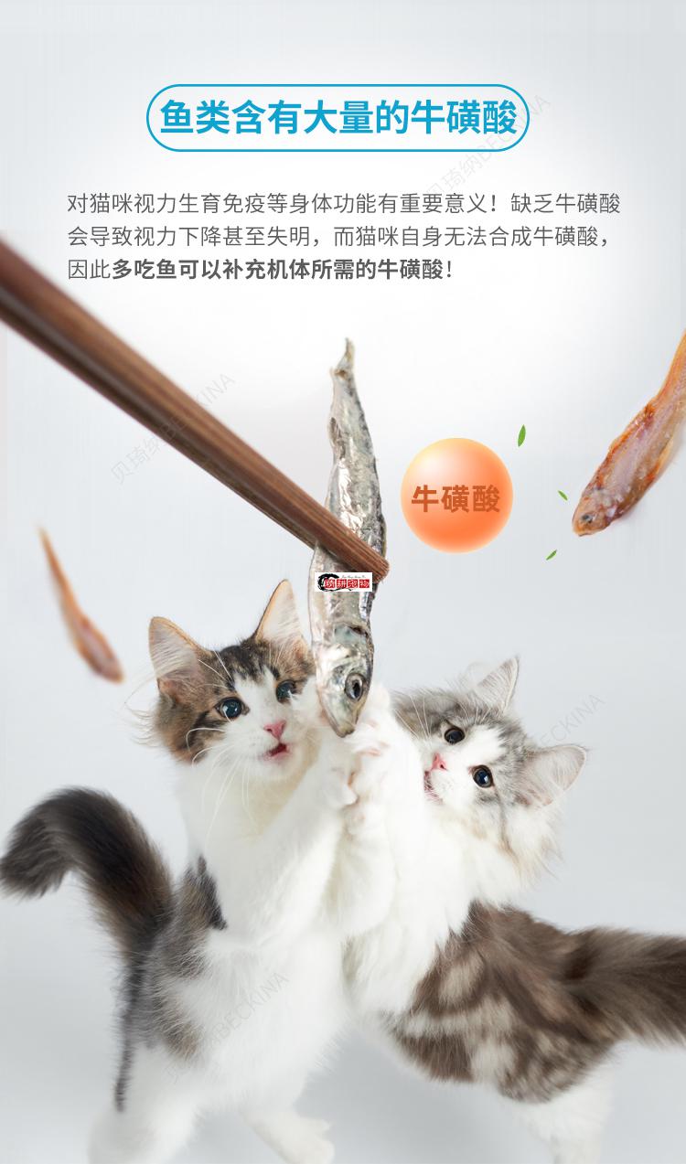 小鱼干淡水无盐猫用品猫狗公白线银剑小黄鱼仔银剑鱼100克装海洋鱼