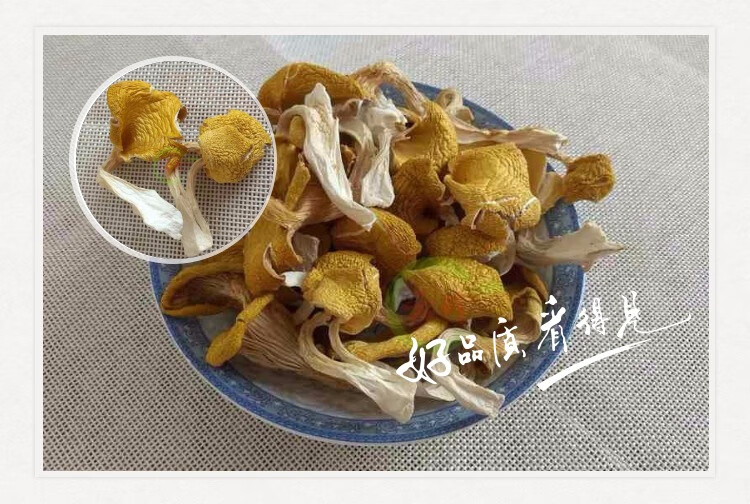 云南鸡油菌干货黄金菇榆黄菇香菇云南土特产100g黄丝菌250g