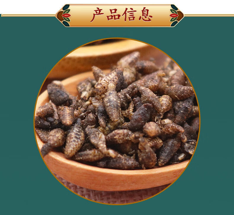 北京同仁堂原料产地金沙牛广西野生蚁狮倒退虫中药材金砂牛地牯牛无