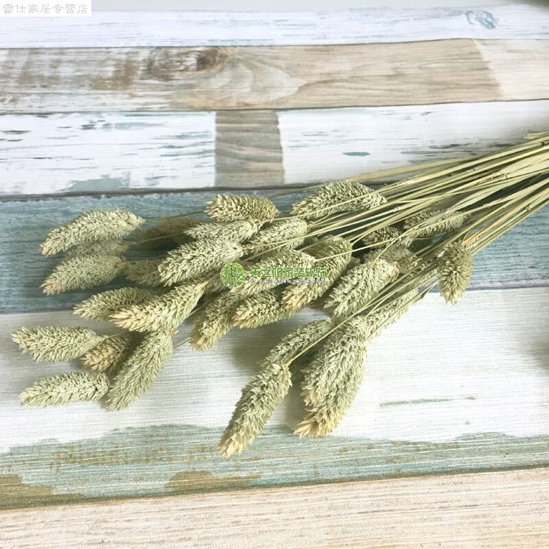 干花花束花瓶套装春季精选】高枝仿真大麦穗手工干花束客厅落地假花