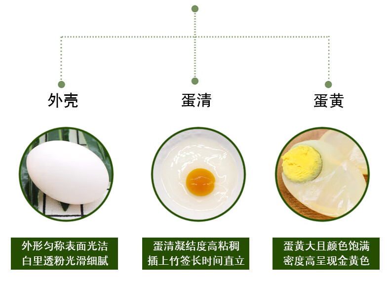 新鲜鸽子蛋 农家鸽子蛋 30枚