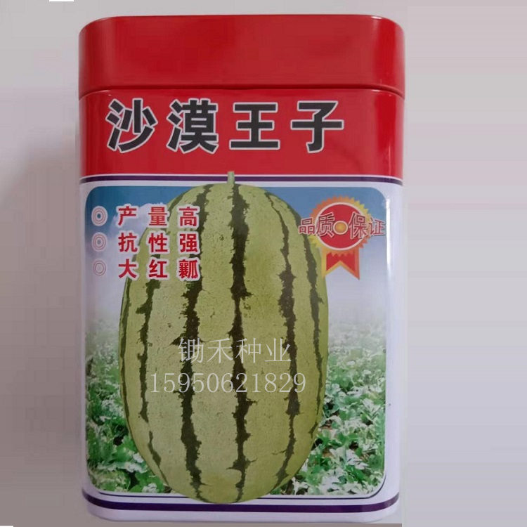 沙漠王子西瓜种子特大高产沙漠一号巨型西瓜种籽春四季大西瓜种子绿宝