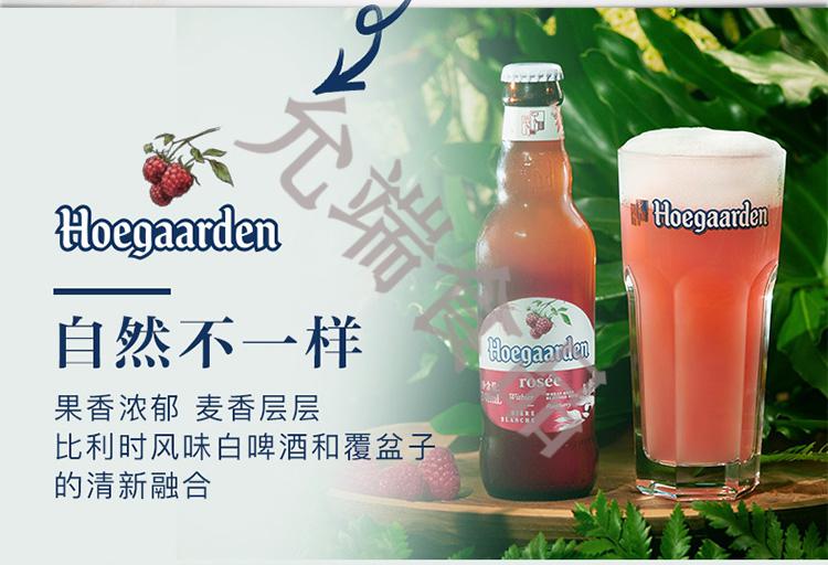 进口白啤酒 hoegaarden比利时风味小麦精酿啤酒 24瓶330ml 进口白啤6