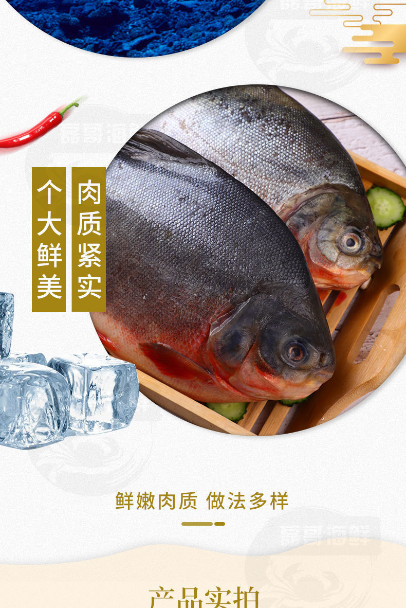 红鲳鱼新鲜鲜活鱼平鱼大红昌鱼金鲳鱼冷冻鲳鱼食味缘2条装又大又实惠