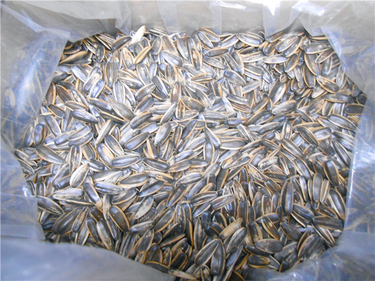 脱皮白瓜子五香味 奶油味 5斤一袋 10斤发两袋 各种口味包装方式
