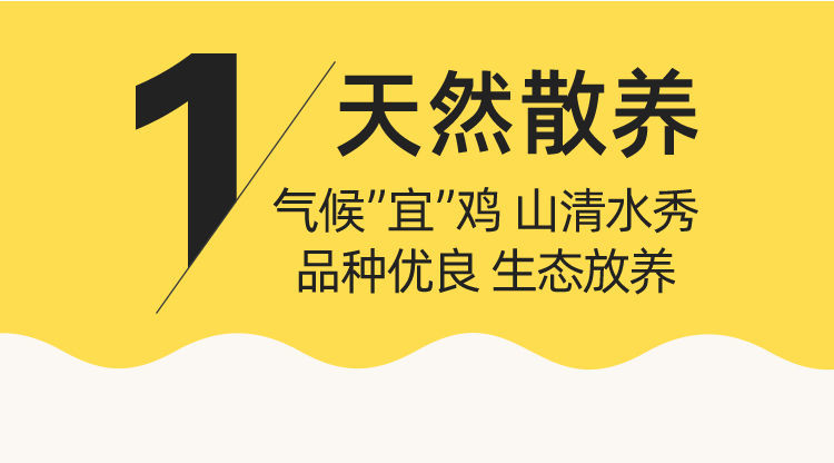 正宗农家散养土鸡老母鸡23年黑脚新鲜现杀黄脚老母鸡1只35斤或以上