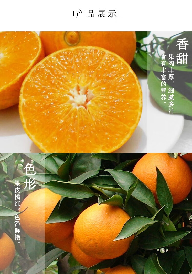 四川眉山爱媛38号果冻橙应季新鲜水果柑橘蜜桔子手剥橙子脐橙 8斤