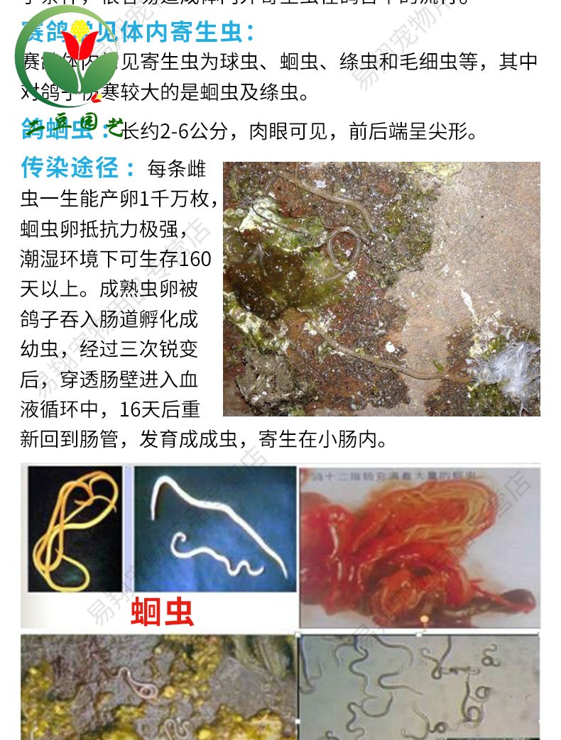 沃绣 二豆园艺 鸽子药 信鸽药 杀灭蛔虫绦虫节虫及其虫 鸽子杀虫剂_ 5