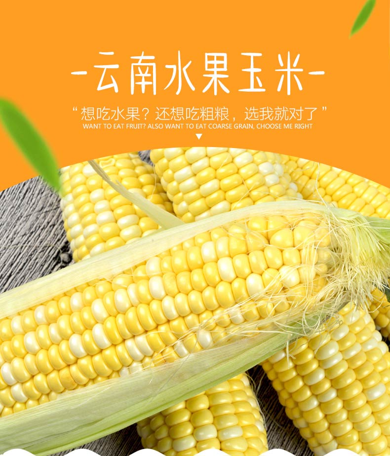 恒润优品 云南水果玉米 2kg 可生吃的甜玉米_现价-1元