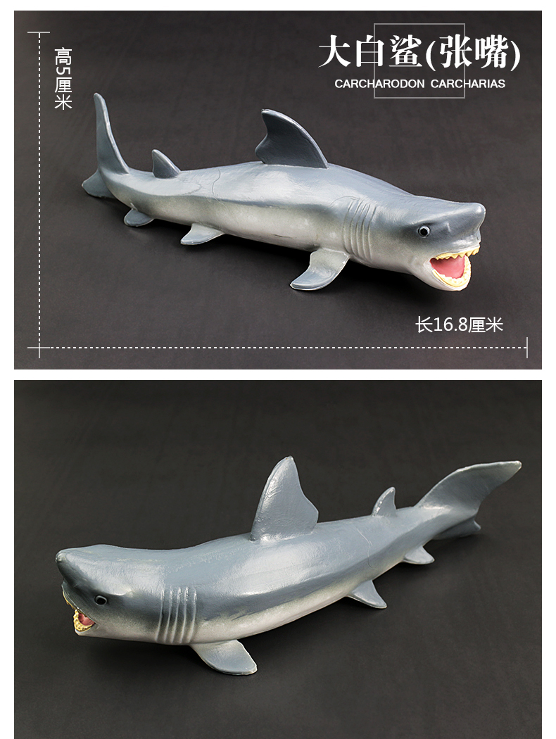 中盛儿童仿真海洋生物动物模型野生玩具虎鲸大白鲨鱼海龟海豚魔鬼鱼
