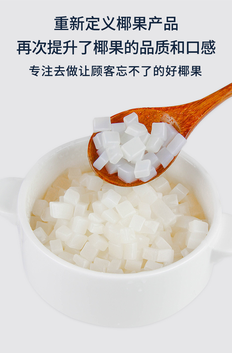 丹朱绿 原味椰果肉 椰果粒水晶果 珍珠奶茶原料椰果奶茶1.