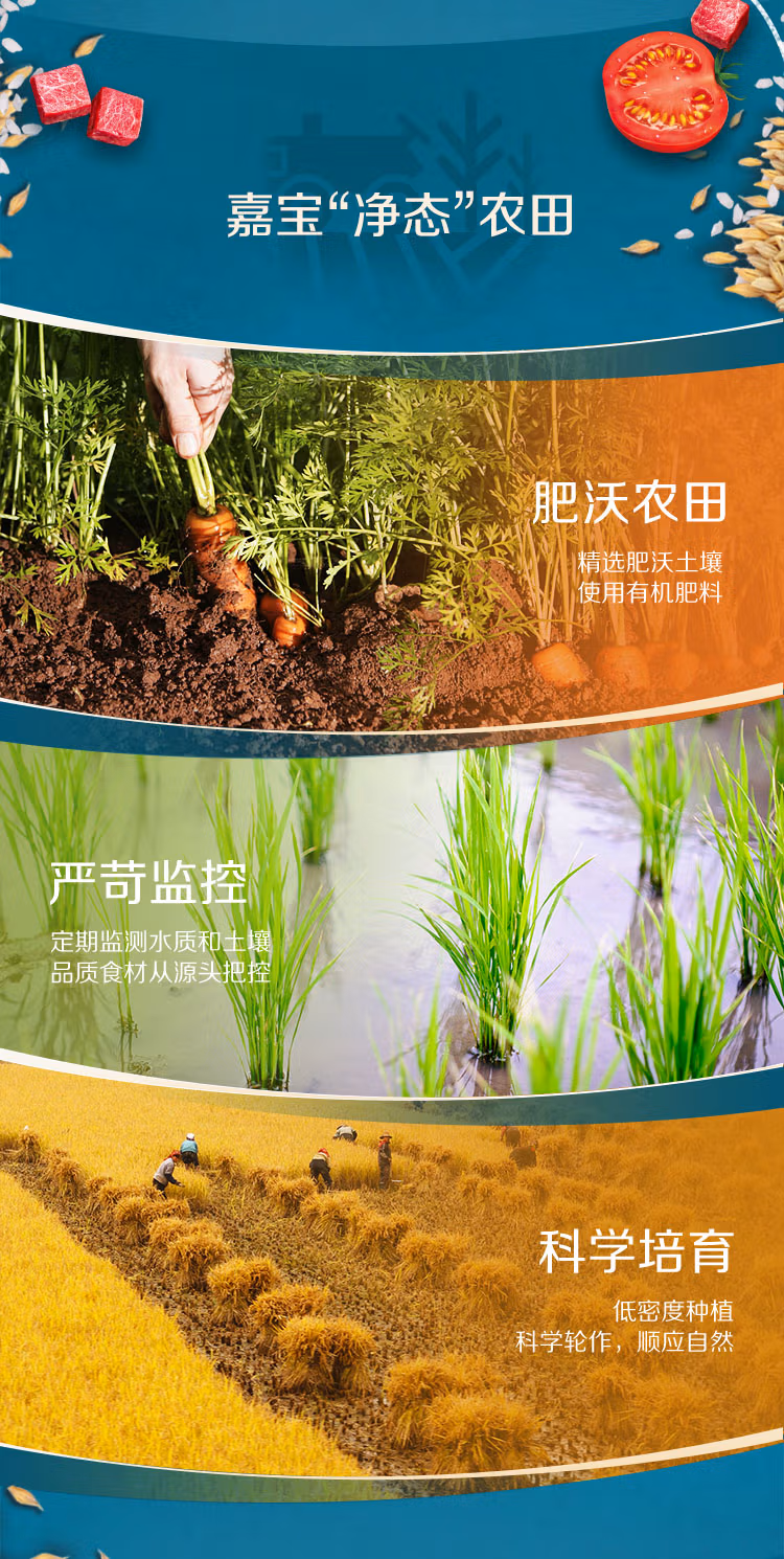 3.jpg.avif 3.jpg.avif