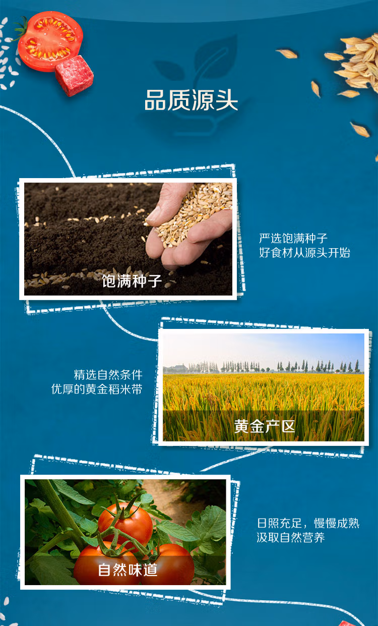 2.jpg.avif 2.jpg.avif