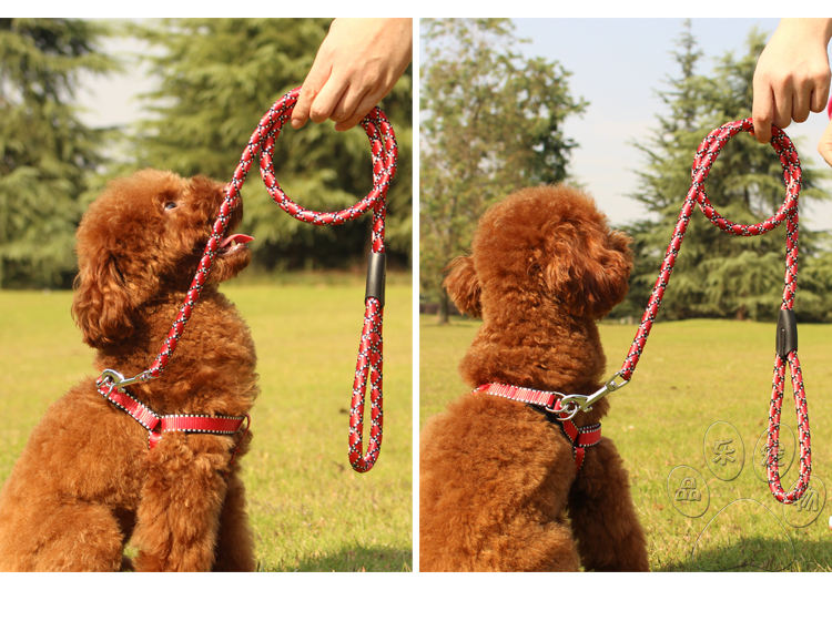 小型犬中型犬 比熊泰迪牵引绳狗绳子狗链子宠物牵引带