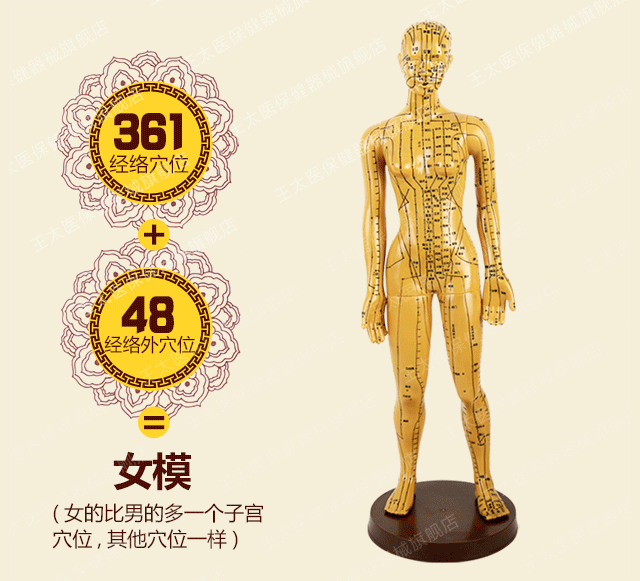 王太医 针灸铜人模型 男模女模中医人体经络穴位模型 女模48cm