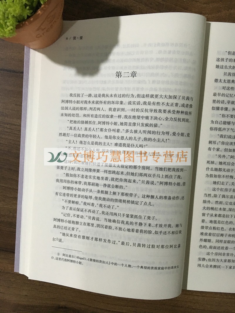 简爱(全译本)无删节 中文完整版 勃朗特 著中文版 jane