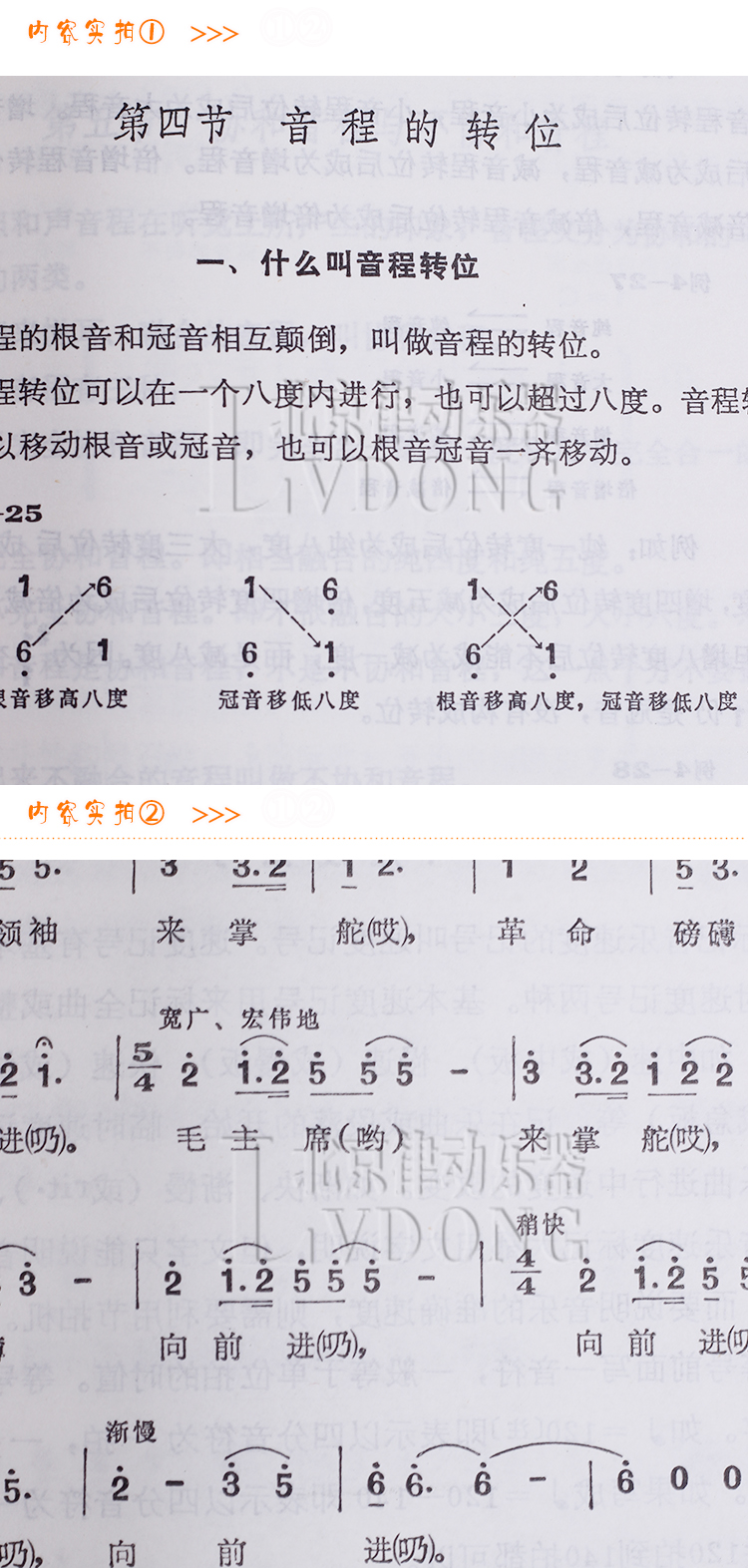 松鹤sou 李重光简谱乐理知识修订版基本教材教程音乐理论基础书籍