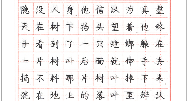 硬笔书法钢笔习字帖罗扬成语故事楷书描红临摹字帖正版中小学生书法