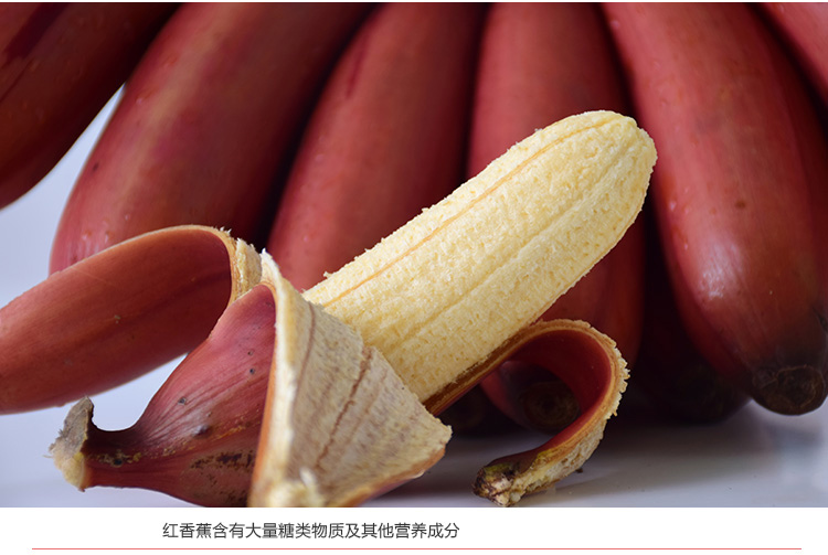 福建新鲜红香蕉红皮香蕉5斤净重精选 土楼特产美人蕉孕妇水果