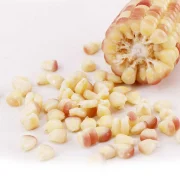 Jingbaiwei Yunnan fragrant glutinous small corn 2kg boxed low-fat coarse grains various packaging random delivery channels exclusively for