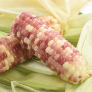 Jingbaiwei Yunnan fragrant glutinous small corn 2kg boxed low-fat coarse grains various packaging random delivery channels exclusively for