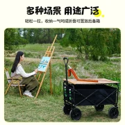 Mondofo Camper Outdoor Cart Camping Cart Camp Car Camping Equipment Folding Picnic Small Cart Wagon [Black Wheel] Field Cart