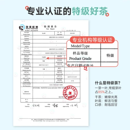 Le Pinle Tea Tea 2023 New Tea Mingqian Premium Maojian Tea Green Tea Spring Tea Buds Canned 250g With Gift Bag Self-Drinking Tea Le Pinle Tea Tea 2023 New Tea Mingqian Premium Maojian Tea Green Tea Spring Tea Buds Canned 250g With Gift Bag Self-Drinking Tea