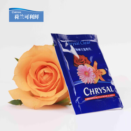 Keli fresh CHRYSAL 24 packs Holland Keli fresh flower preservative, preservative liquid nutrient solution, clear small bag family pack, general-purpose 5g powder Keli fresh CHRYSAL 24 packs Holland Keli fresh flower preservative, preservative liquid nutrient solution, clear small bag family pack, general-purpose 5g powder