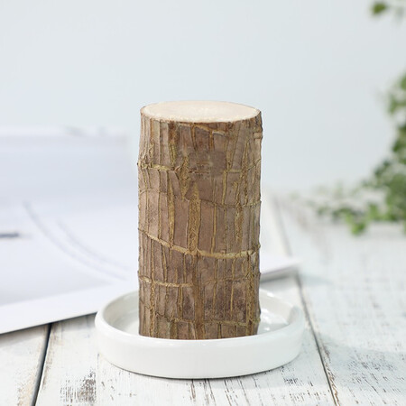 Brazil wood potted plant Jingdong Green Plant Mini Indoor Potted Plant Brazil wood potted plant Jingdong Green Plant Mini Indoor Potted Plant