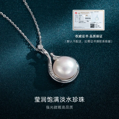 Qlady Freshwater Pearl Necklace Women's Temperament Light Luxury Pearl Pendant Fashion Jewelry Birthday Gift for Girlfriend Qlady Freshwater Pearl Necklace Women's Temperament Light Luxury Pearl Pendant Fashion Jewelry Birthday Gift for Girlfriend