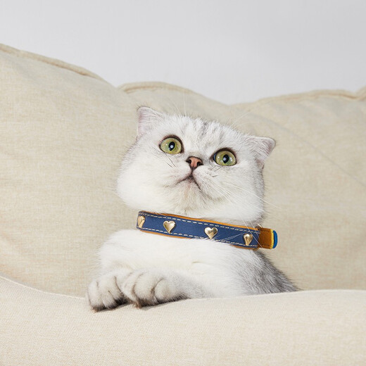 Cat sister Wangdi leash cat dog collar puppy Teddy Pomeranian Bichon small dog leash cat collar red brown with decoration collar neck circumference (22-30) cm + 1.2 meters leash Cat sister Wangdi leash cat dog collar puppy Teddy Pomeranian Bichon small dog leash cat collar red brown with decoration collar neck circumference (22-30) cm + 1.2 meters leash