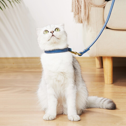 Cat sister Wangdi leash cat dog collar puppy Teddy Pomeranian Bichon small dog leash cat collar red brown with decoration collar neck circumference (22-30) cm + 1.2 meters leash Cat sister Wangdi leash cat dog collar puppy Teddy Pomeranian Bichon small dog leash cat collar red brown with decoration collar neck circumference (22-30) cm + 1.2 meters leash