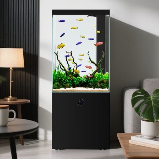Hanba fish tank living room small square tank bottom 2025 new bottom filter ultra-white glass goldfish tank aquarium floor-standing household cement gray lamp tube 40cm long x 40cm wide x 140cm high Hanba fish tank living room small square tank bottom 2025 new bottom filter ultra-white glass goldfish tank aquarium floor-standing household cement gray lamp tube 40cm long x 40cm wide x 140cm high