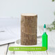 Brazil wood potted plant Jingdong Green Plant Mini Indoor Potted Plant Brazil wood potted plant Jingdong Green Plant Mini Indoor Potted Plant