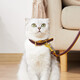Cat sister Wangdi leash cat dog collar puppy Teddy Pomeranian Bichon small dog leash cat collar red brown with decoration collar neck circumference (22-30) cm + 1.2 meters leash Cat sister Wangdi leash cat dog collar puppy Teddy Pomeranian Bichon small dog leash cat collar red brown with decoration collar neck circumference (22-30) cm + 1.2 meters leash