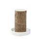 Brazil wood potted plant Jingdong Green Plant Mini Indoor Potted Plant Brazil wood potted plant Jingdong Green Plant Mini Indoor Potted Plant