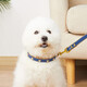 Cat sister Wangdi leash cat dog collar puppy Teddy Pomeranian Bichon small dog leash cat collar red brown with decoration collar neck circumference (22-30) cm + 1.2 meters leash Cat sister Wangdi leash cat dog collar puppy Teddy Pomeranian Bichon small dog leash cat collar red brown with decoration collar neck circumference (22-30) cm + 1.2 meters leash